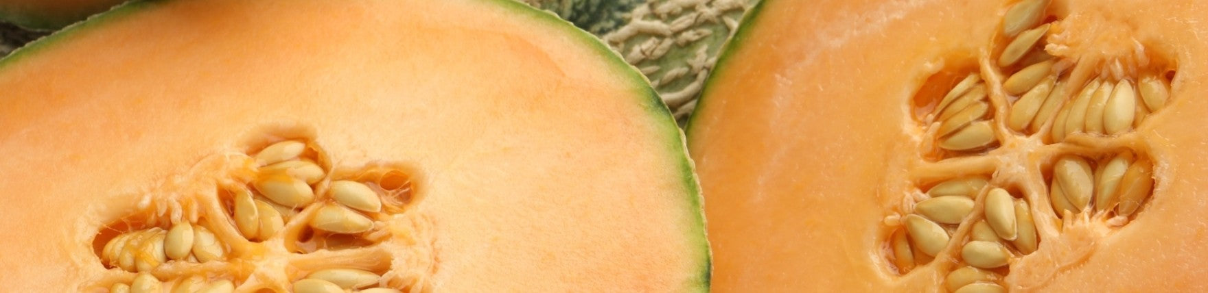 Melon & Mint